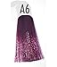 BERINA A6 PERMANENT HAIR DYE COLOR CREAM PURPLE CRAZY FASHIONS PUNK STYLE