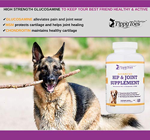 View of GLUCOSAMINE for Dogs 800mg Hip and Joint Supplement with MSM ...