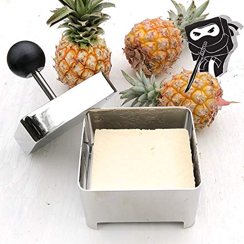 Raw Rutes Tofu Press (Ninja) Remove Water from Tofu OR Make Your