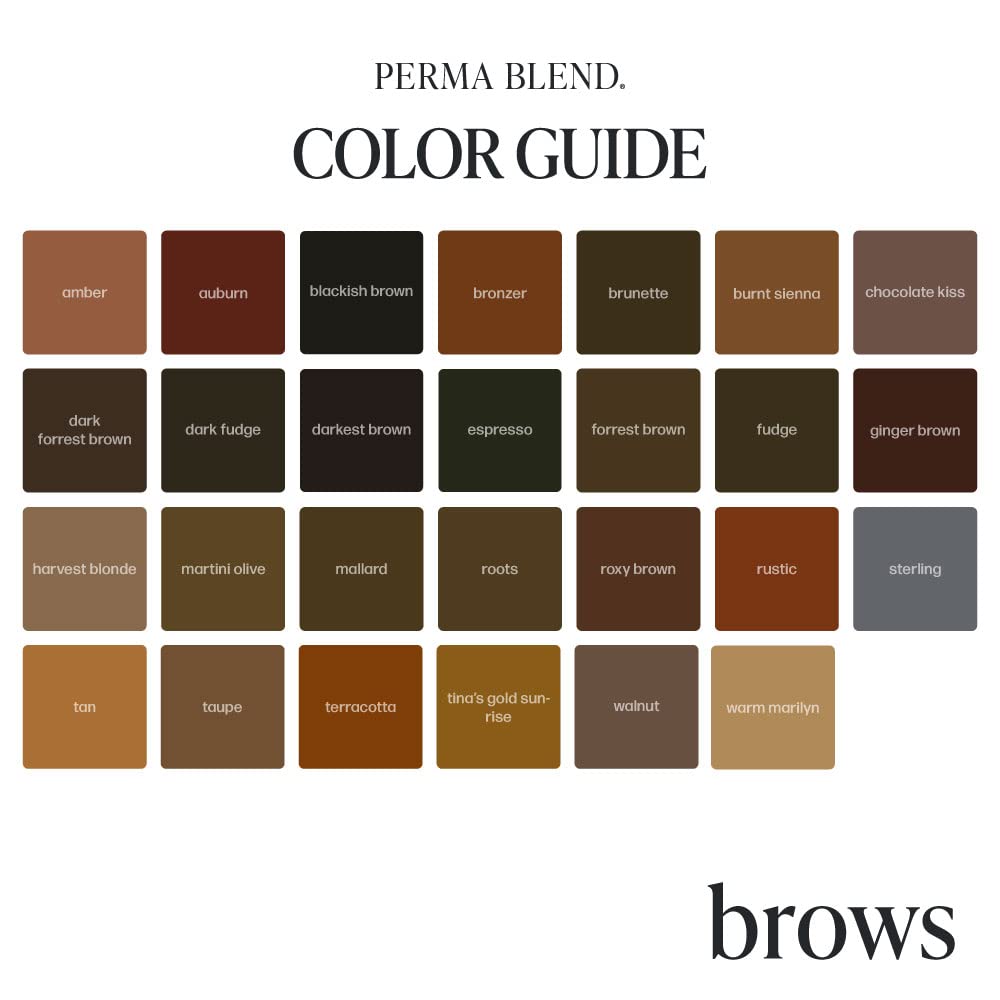 Perma Blend - Eyebrow Dark Pigments Tattoo Kit - Microblading Ink for Permanent Eyeliner - Professional Tattoo Ink - Warm & Cool Dark Brown Tattoo Ink (0.5 oz Each, 4 Products)