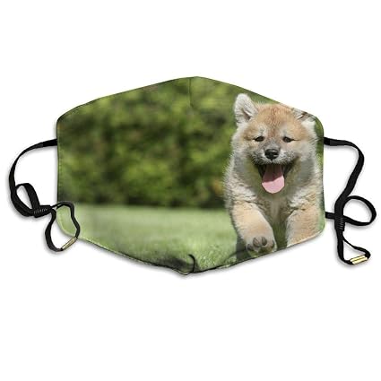 Amazoncom Wenhuamucai Shiba Inu Dog Names Anti Dust
