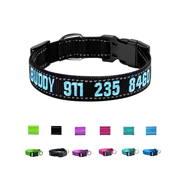custom printed dog collars