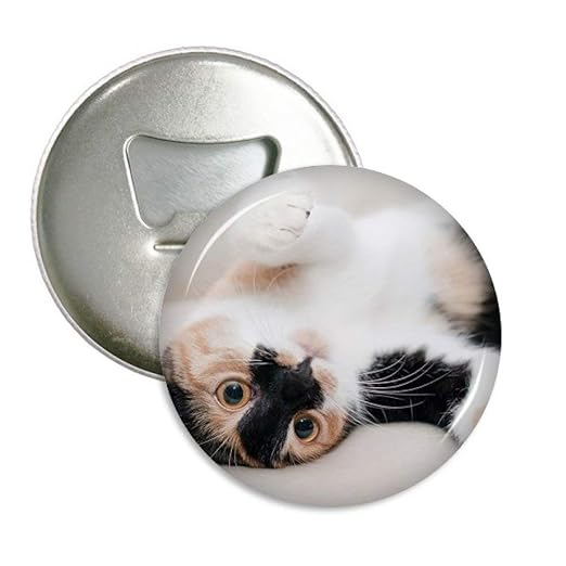 Kitty Cat rayas relajarse dormir animal redondo abridor de ...