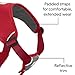 Ruffwear, Web Master, Multi-Use Support Dog Harness, Hiking and Trail Running, Service and Working, Everyday Wear, Red Currant, Medium