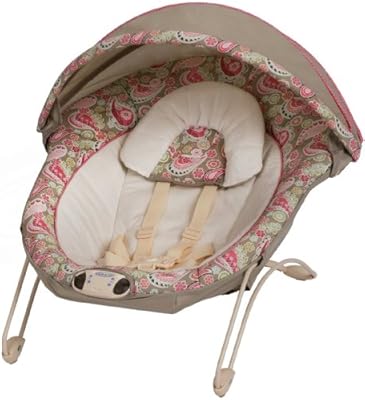 graco simple snuggles bouncer