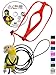 The AVIATOR Pet Bird Harness and Leash: X-Small Red
