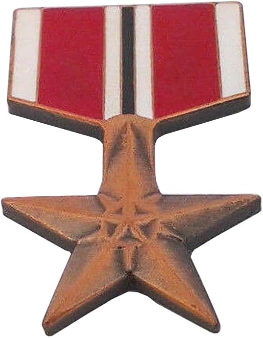 OnlyUS Bronze Star Replica Military Veteran Hero Hat Pin Jewelry