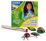 Insect Lore Live Baby Ladybug Larvae - Ladybug Growing Kit REFILL with Ladybug Life Cycle Toy Figurines - SHIP NOW