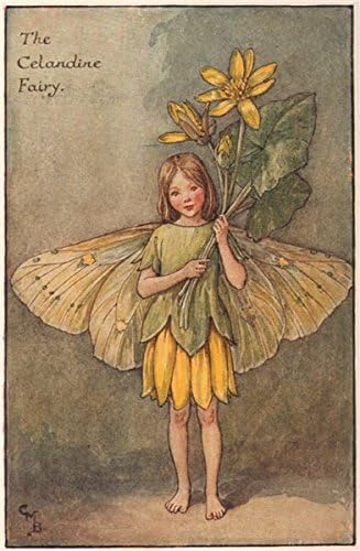 Celandine Fairy by Cicely Mary Barker 