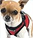Puppia Soft Dog Harness - (Soft Vest B) - Red, XS