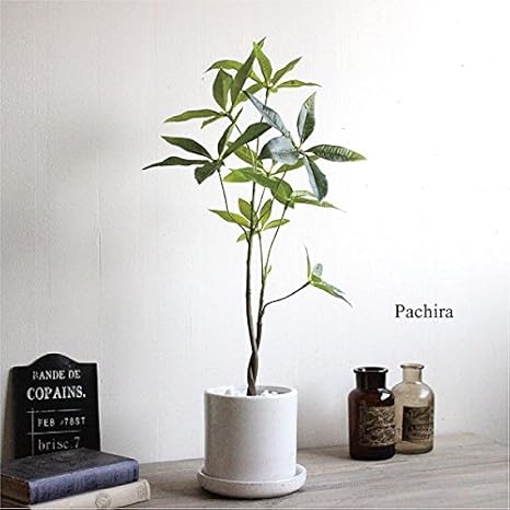 Amazon パキラ 52cm 貫入鉢皿付 5 造花 インテリア 観葉植物 ミニ フェイクグリーン リアル おしゃれ 人工観葉植物 オンライン通販