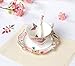 Jusalpha® Vintage Butterfly Bone China Teacup Spoon and Saucer Set TCS07 (Pink)