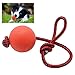 Original Fetching and Tugging Exercise Rubber Ball Pet Toy