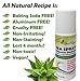 Magnesium Natural Deodorant | ROLL ON | COCONUT LIME | The Fitness Deodorant | Aluminum FREE | Non GMO | Paraben Free | Cruelty Free | 100% Natural Scent | Effective | Non-Toxic | 3 oz.
