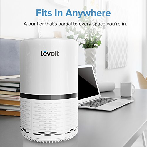 smoke purifier levoit air Filtration True Filter Air Purifier HEPA Levoit with smoke purifier levoit air Filtration True Filter Air Purifier HEPA Levoit with