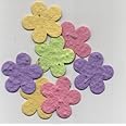 12 Plantable Large Flower Seed Shapes in a Bag Flowering