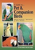 A Guide to Pet and Companion Birds: Their Keeping, Training and Well-Being by Ray Dorge, Gail Sibley