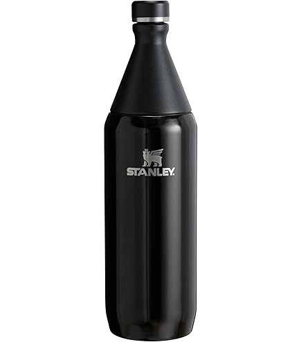 Stanley 20oz Vaccum lnsulated bottle 水筒 All Day Slim Bottle | 20 oz | 0.59 L – Stanley 1913