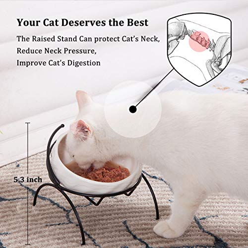 Jemirry Ceramic Elevated Cat Bowl Anti Vomiting,15° Tilted Food and