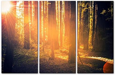 3 Pieces Modern Canvas Painting Wall Art The Picture For Home Decoration Redwood Forest Scenery With Warm-Toned Sunlight Forest Landscape Print On Canvas Giclee Artwork For Wall Decor