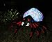 Joiedomi Halloween Inflatable Blow-up Spider with Kaleidoscope Light Inside - 4 Feet Wide