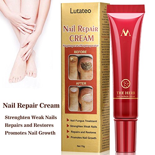 100 Mix Body Piercing Needle Sizes 12g 14g, 16g, 18g and 20g Buy