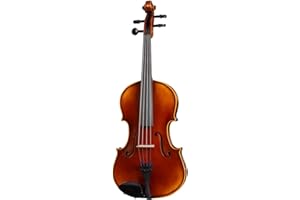 D Z Strad Viola Model 120 with Strings, Case, Bow, Shoulder Rest and Rosin (16.5")