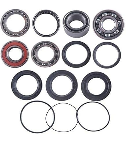 All Balls 25-2061 Differentiallager & Dichtungssatz Hinten – Für Honda ATV TRX500 Modelle