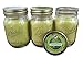 Mosquito Naturals Natural Lemongrass Citronella Mosquito Repellent Candle (Set of 3) Indoor/Outdoor - 88 Hour Burn - Naturally Repels Insects with Essential Oils, Soy Base, Mason Jar, Made in USA