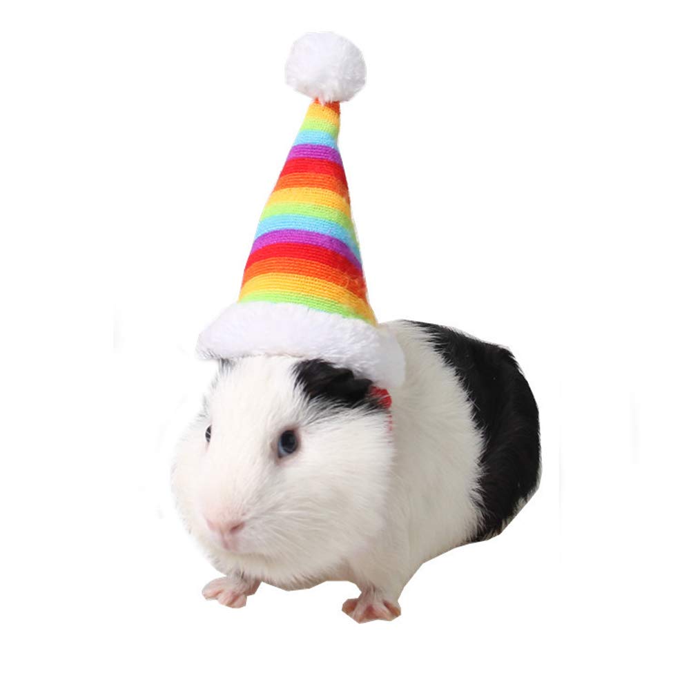 BbearT® Small Animal Hat Hamster Birhthday Hat Cat Christmas Holiday Hat Rabbit Hat for Small Animals (Rainbow)