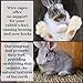 SunGrow Rabbit, Leopard Gecko & Guinea Pig Grass Chew Mat, Hay Bedding, Zip tie to Wire Cage Provide Insulation Cold Weather, Cover Ugly Wire on Cage, DIY Small Pet Runways, Huts