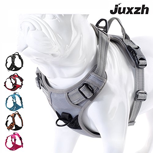 Best Bulldog Harness For Bulldogs