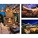 Twinkle Star 48 ft Outdoor String Lights 15 Bulbs 11 W Patio Lights with 3 Spare Bulbs Waterproof for Porch, Yard, Patio, Garden, Balcony Decoration (2 Pack)
