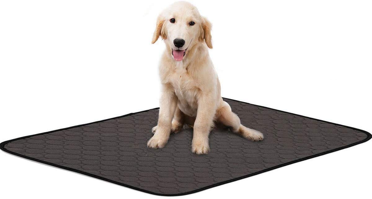 2 Pack Dog Pee Pad Reusable Pet Dog Diaper Pad Urine Potty Training Pads 4 Layers Design Anti-Skid Bottom/Fast Absorb/Deodorant Dog for Indoor Outdoor Car Travel Machine Washable
