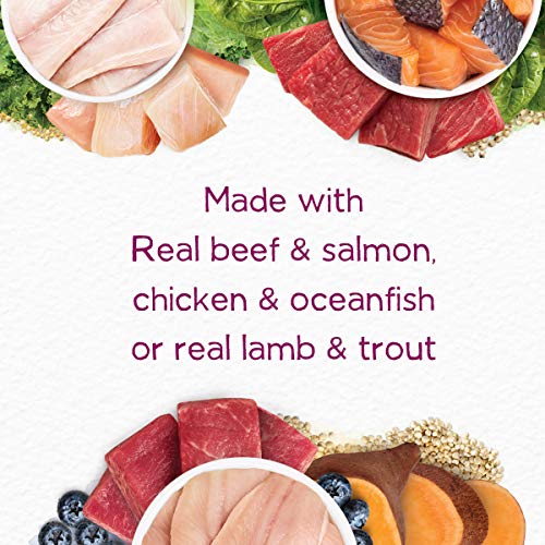 Purina Beneful Wet Dog Food, Superfood Blend Variety Pack (4 Packs of