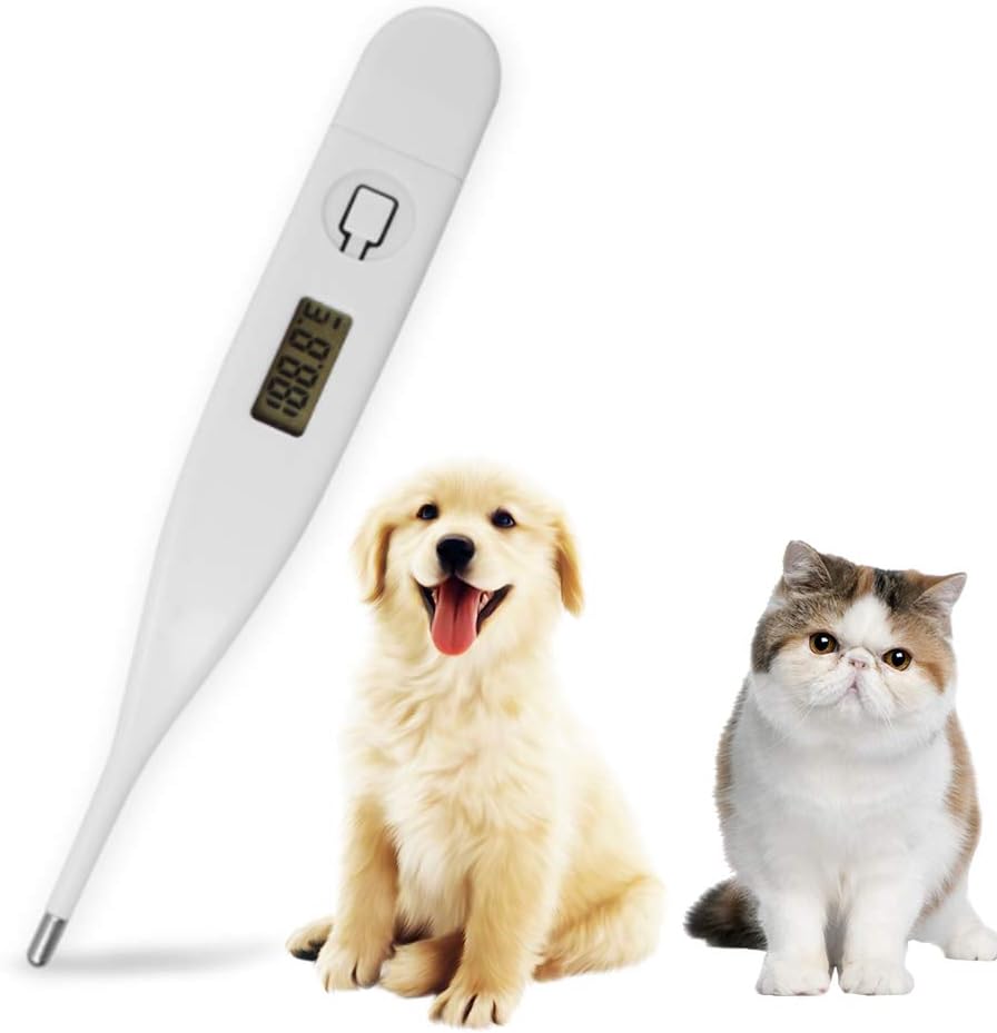 Can You Use A Human Digital Thermometer On A Dog at Karen Tate blog