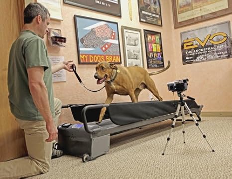 petzen dog treadmill