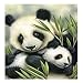 DIY 5D Diamond Painting Kit, Full Drill Animals Panda Rhinestone Painting Supplies for Home Wall Decor Painting Arts Craft (14