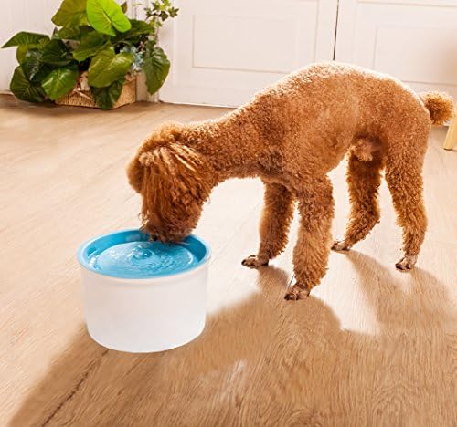 Automatic 1.6L Electric Pet Water Fountain Carbon Filter Super Silent Dog/Cat/Bird Drinking Bowl Auto Circulating Water Dispenser Blue
