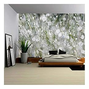 The Morning Dew - Removable Wall Mural | Self-Adhesive Large Wallpaper - 66x96 inches