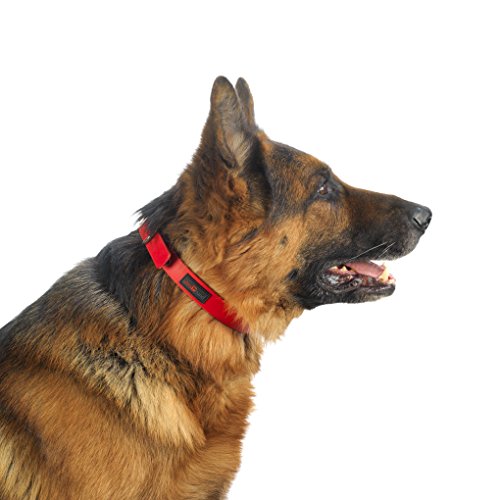 Ultrahund True-Fit Collar, 1" x 18", Red