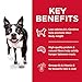 Hill's Science Diet Light , Adult 1-6, Weight Management Support, Small Kibble, Dry Dog Food, Chicken & Barley, 15 lb Bag