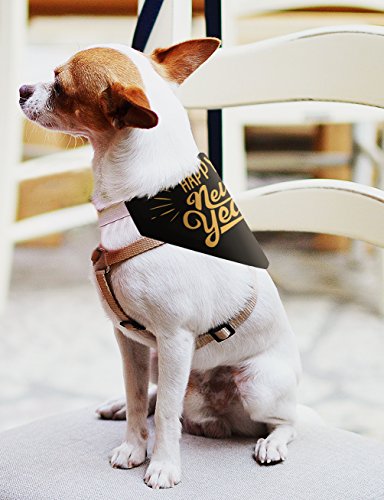 Christmas Gifts for Dogs Happy New Year Christmas Outfit for Dogs Small Dog Bandana Scarf for Dogs Bib I Can Explain