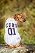 Official MLB Chicago Cubs Pet Jersey for Dogs & Cats, Size Small - Stylish Baseball Jersey for Your Furry Fan- Show Off Team Spirit with The Perfect Fan Apparel Gear for Pet, Dog & Cat