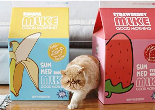 milk carton cat house
