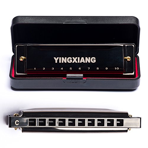 10 Best Harmonicas for Blues, Folk & More 2020 Windysounds