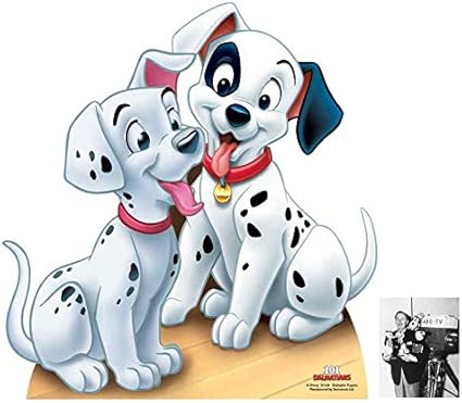 Amazon Co Jp ファンパック ダルメシアン子犬 101 ダルメシアン ライフサイズ カードボード カットアウト スタンダード スタンドアップ 8x10 25xcm 星写真 ファンパック 312 ホーム キッチン