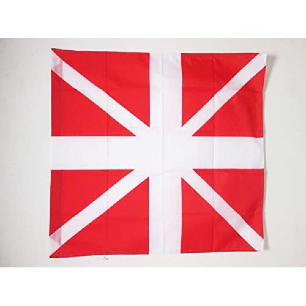 AZ FLAG - French Empire Infantry Regiment Picardie 1780-1791 Flag - 3x3 Ft - 100% Polyester Army of France Banner with Sleeve - Fade Resistant - Vivid Colors - 3' x 3' Feet - 90x90 Cm