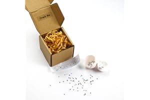 LFAIZE Egg Pregnancy Announcement,Baby Announcement,Grandparents Pregnancy Reveal Gift