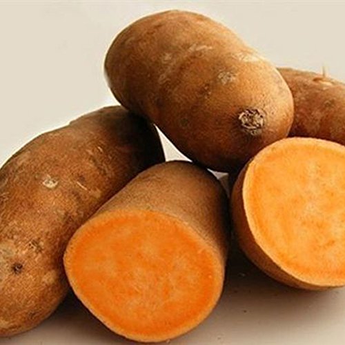 buyanputra 10Pcs Sweet Potato Seeds, Vegetable Planting Starter Fresh Fruit Seed Home Plant